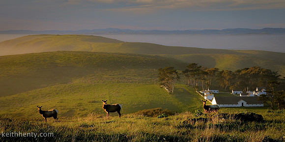Pt. Reyes, Marin County California