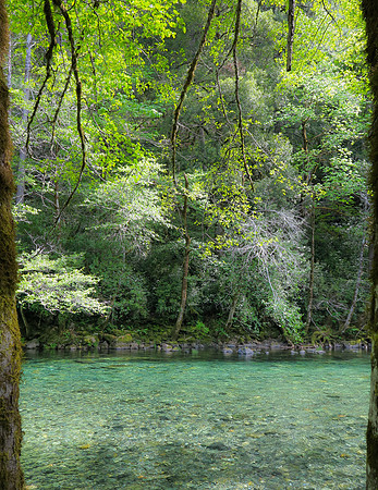 Main fork Smith River by Patrick Ck
