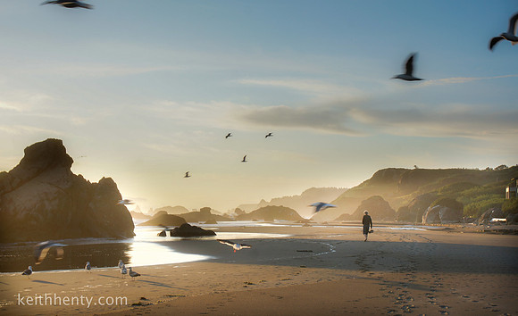 Sunset, seagulls, and a friend; Harris State Beach, Oregon