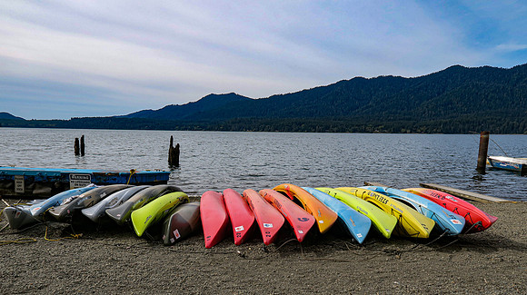 Lake Quinault