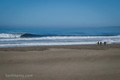 Moss Landing, CA
