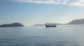 Bahia de los Angeles. Early morning panga with fishermen