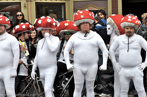 Step away from the bulge. Fun-guys (fungis, fungals) pump up for the La Mans style start to the Kinetic Grand Championship. It's an annual 3-day race along California's northern coast from Arcata to F